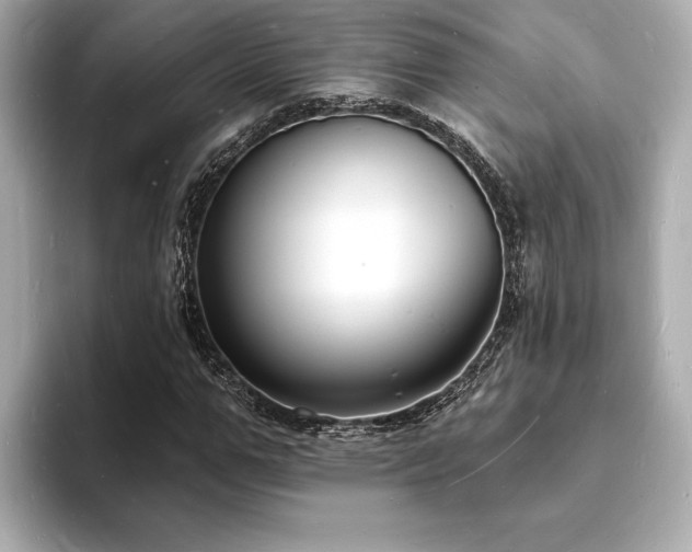 X0000093600967200710151218