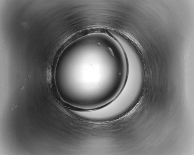 X0000093600969200710151218