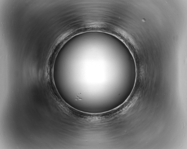 X0000093600970200710151218
