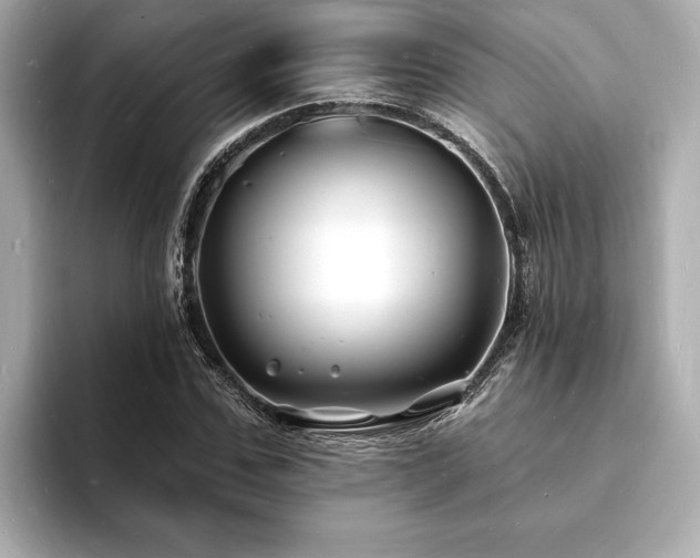 X0000093600971200710151218
