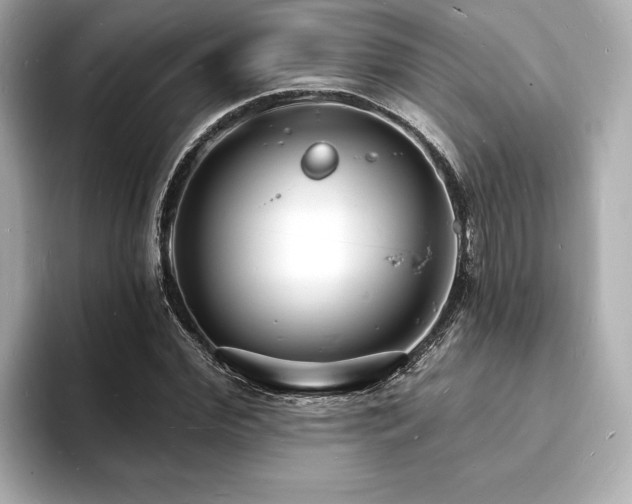 X0000093600972200710151218