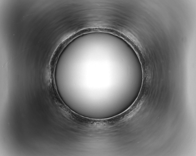 X0000093600974200710151218