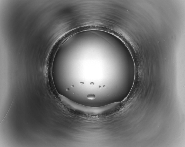 X0000093600975200710151218