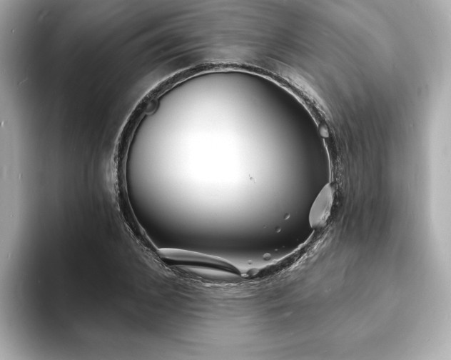 X0000093600976200710151218