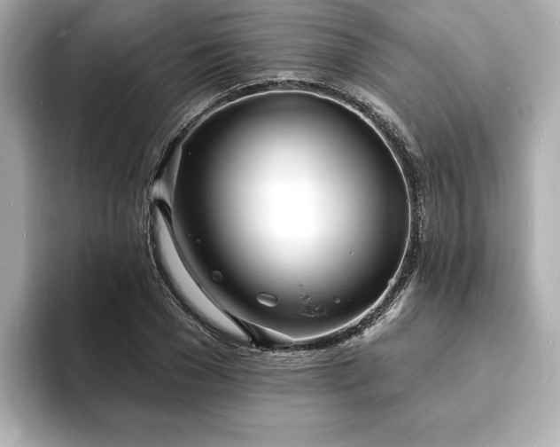 X0000093600977200710151218