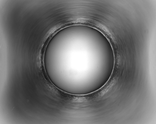 X0000093600978200710151218