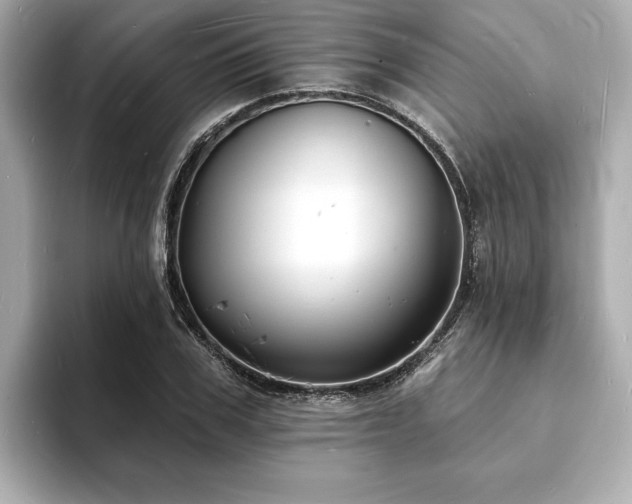X0000093600979200710151218