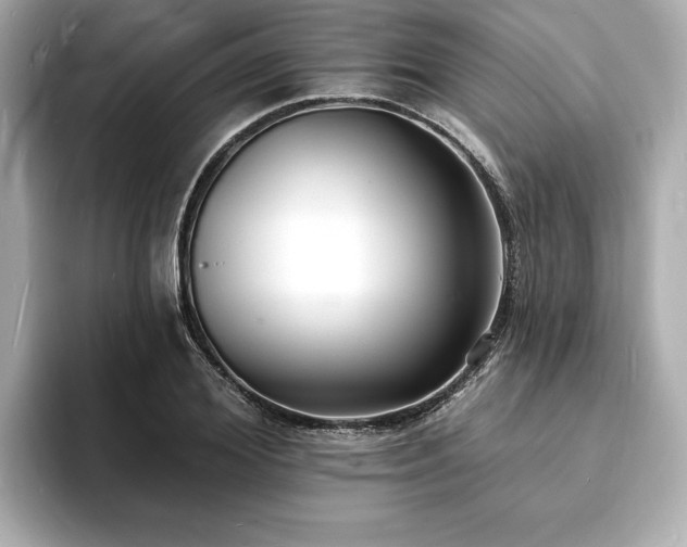 X0000093600980200710151218