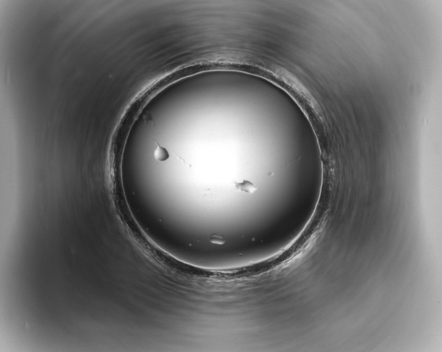 X0000093600981200710151218