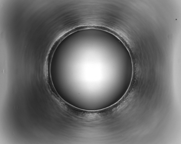 X0000093600982200710151218
