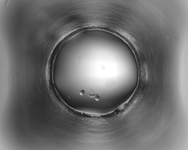 X0000093600983200710151218