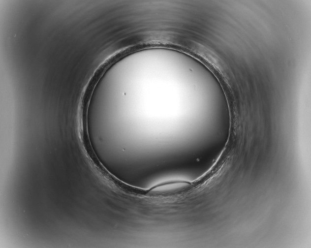 X0000093600984200710151218