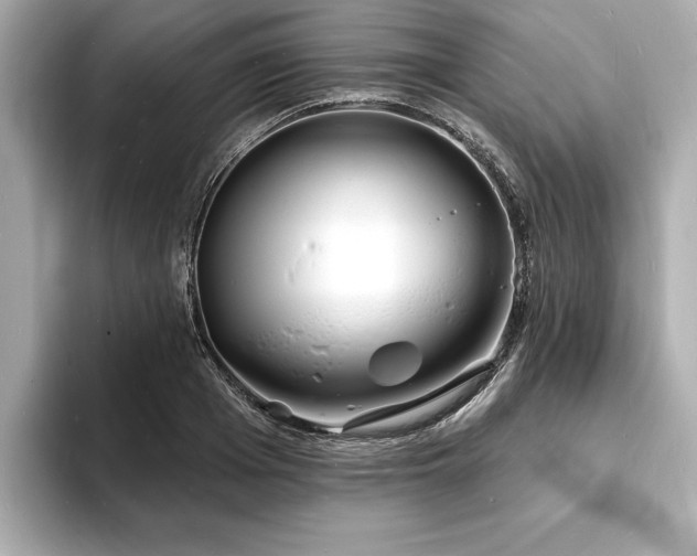 X0000093600985200710151218