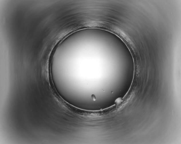 X0000093600986200710151218