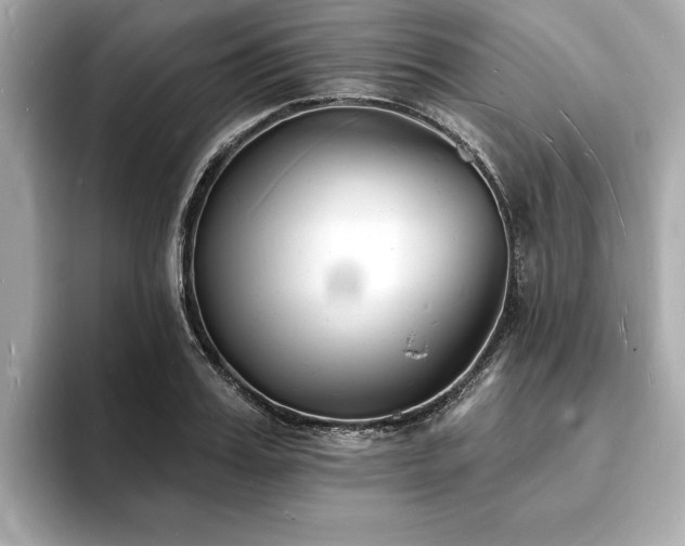 X0000093600987200710151218