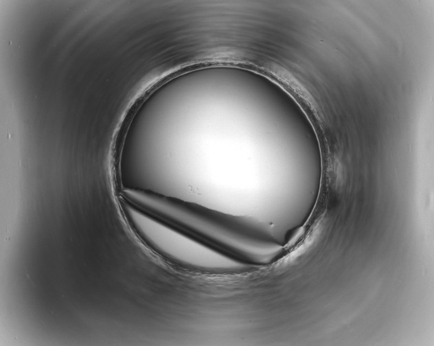 X0000093600989200710151218