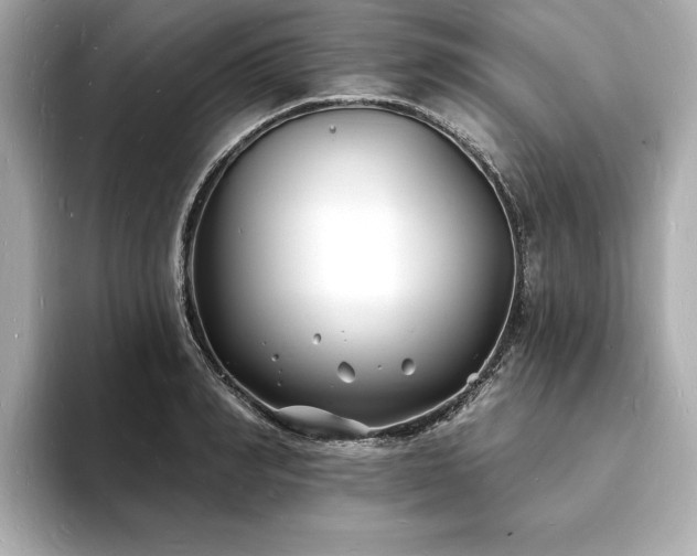 X0000093600990200710151218
