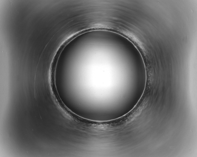 X0000093600991200710151218