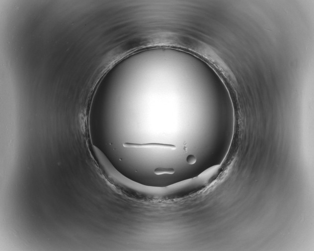 X0000093600993200710151218