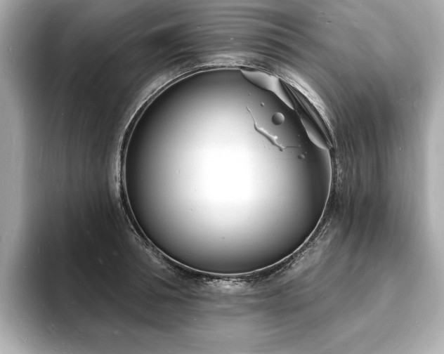 X0000093600994200710151218