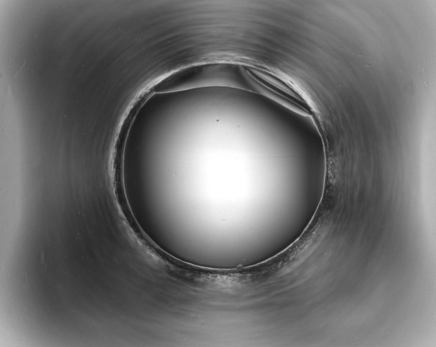 X0000093600995200710151217