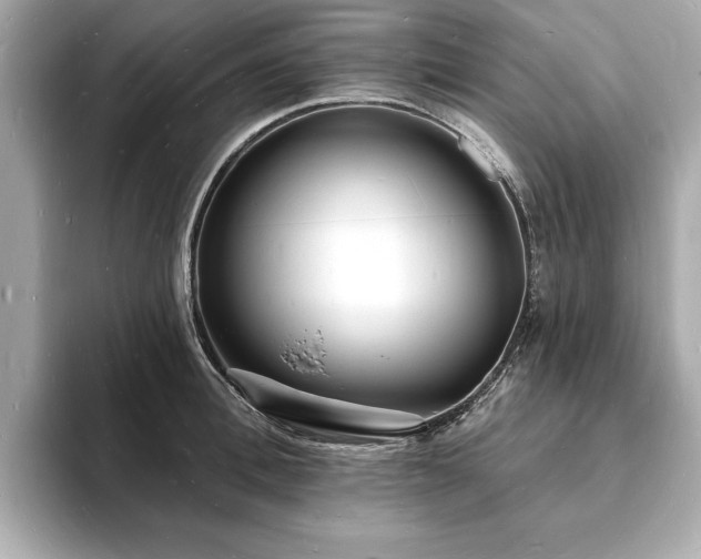 X0000093600996200710151217