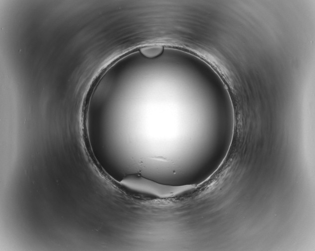 X0000093600998200710151217