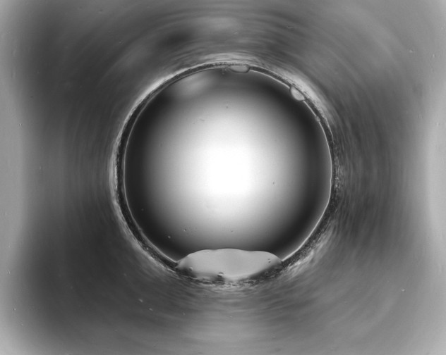 X0000093600999200710151217