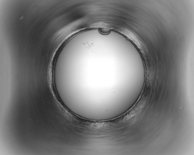 X0000093601000200710151217