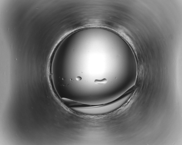 X0000093601005200710151217