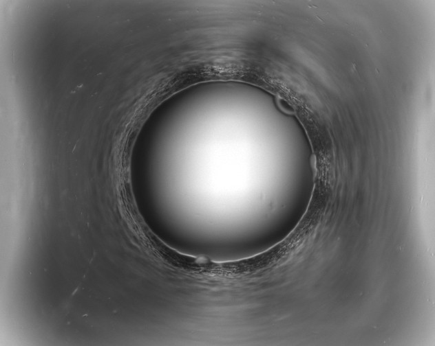 X0000093601009200710151217