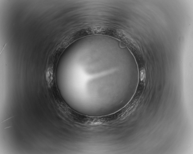 X0000093601011200710151217