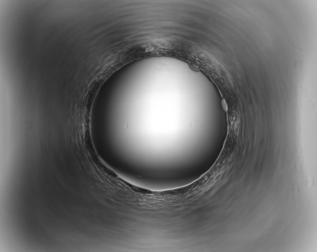 X0000093601012200710151217