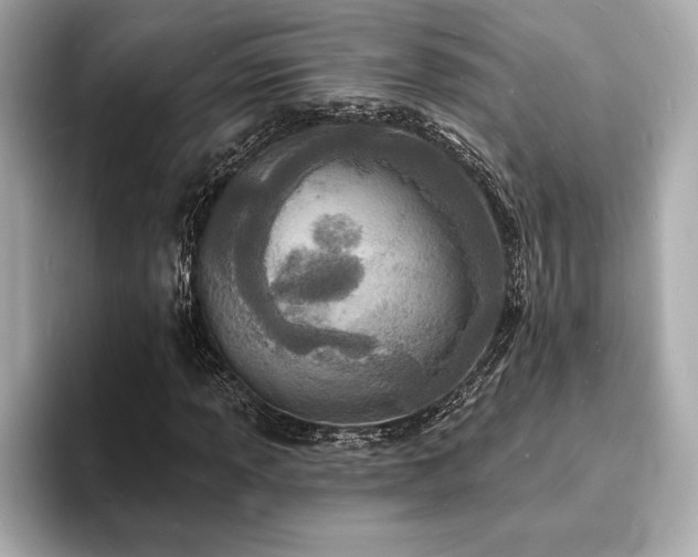 X0000093601013200710151217