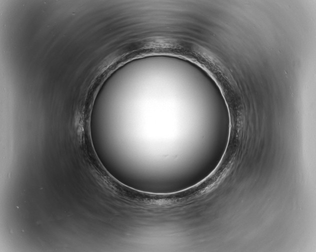 X0000093601017200710151217