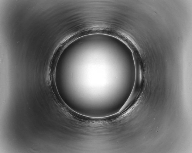 X0000093601018200710151217