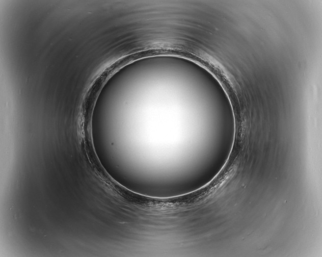 X0000093601019200710151217
