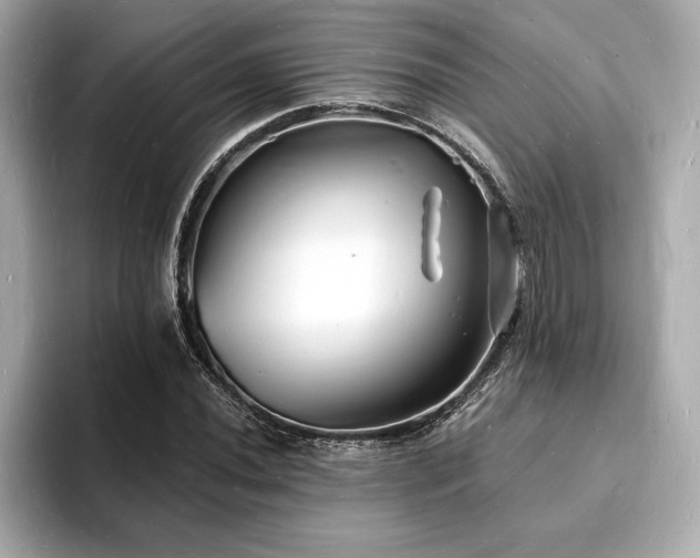 X0000093601020200710151217