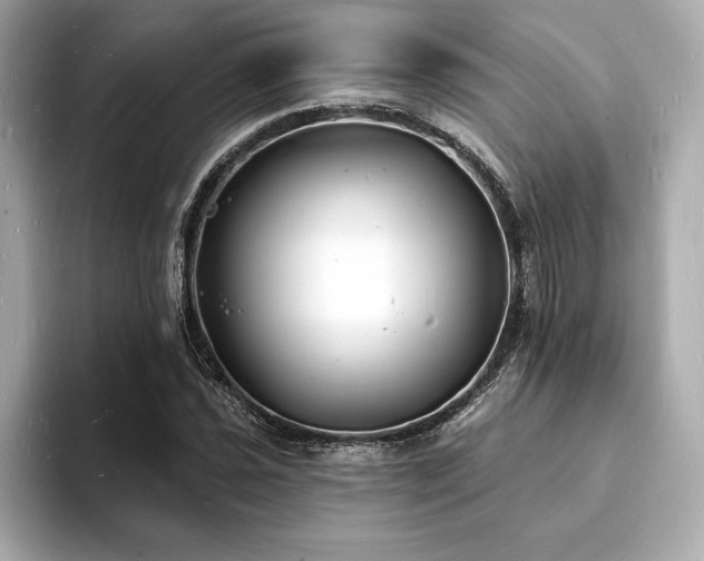 X0000093601021200710151217