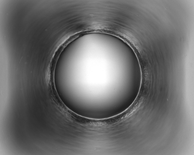 X0000093601023200710151217
