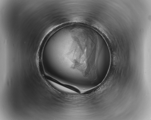 X0000093601024200710151217