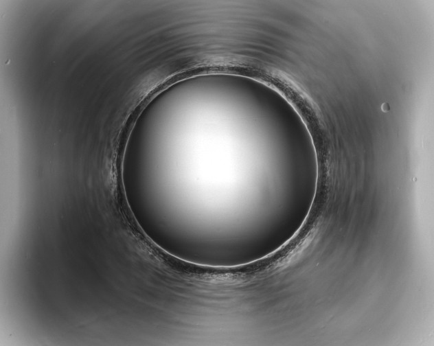 X0000093601025200710151217