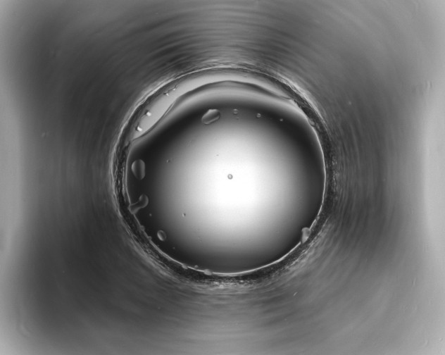 X0000093601026200710151217