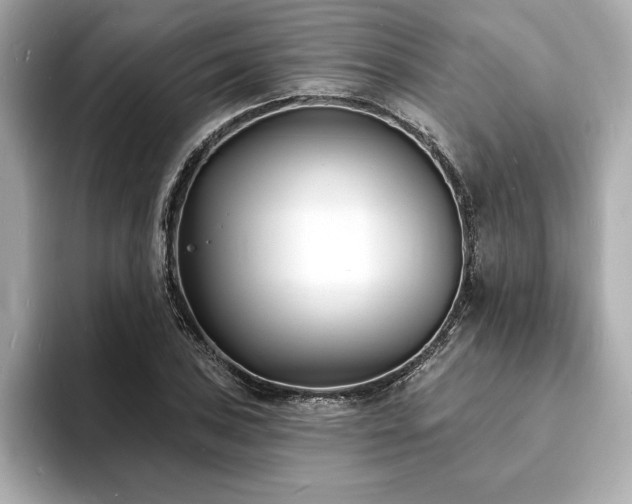 X0000093601027200710151217
