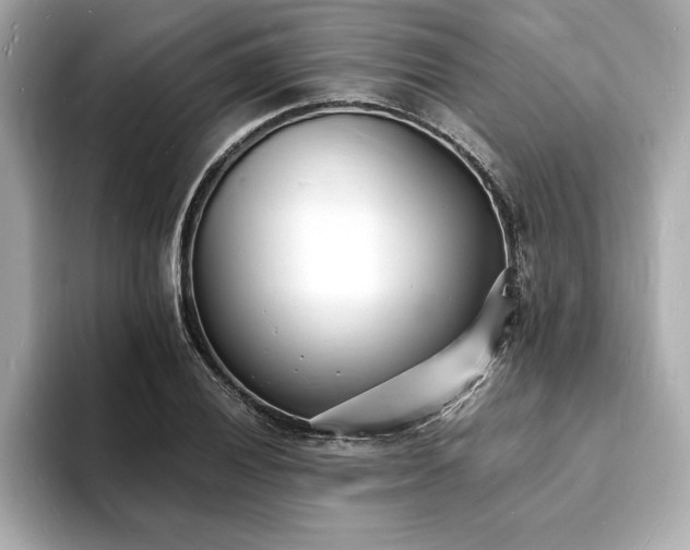 X0000093601028200710151217