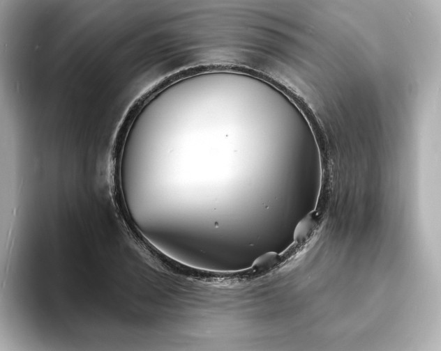 X0000093601029200710151217