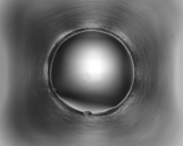X0000093601030200710151217