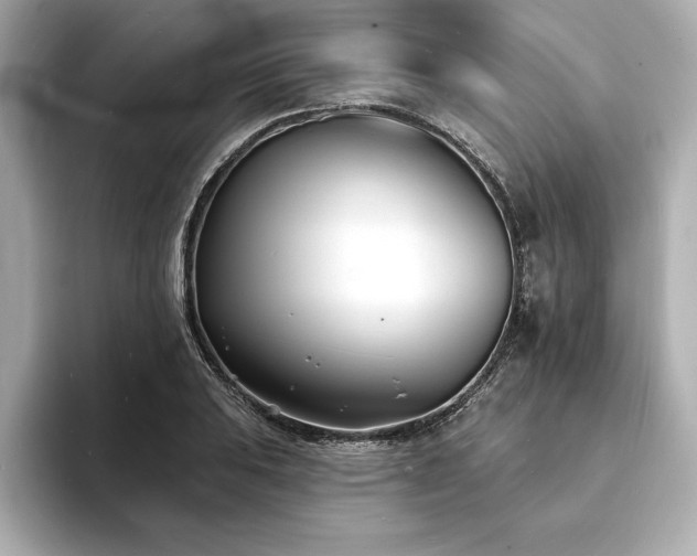 X0000093601031200710151217