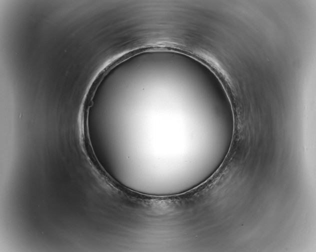 X0000093601032200710151217
