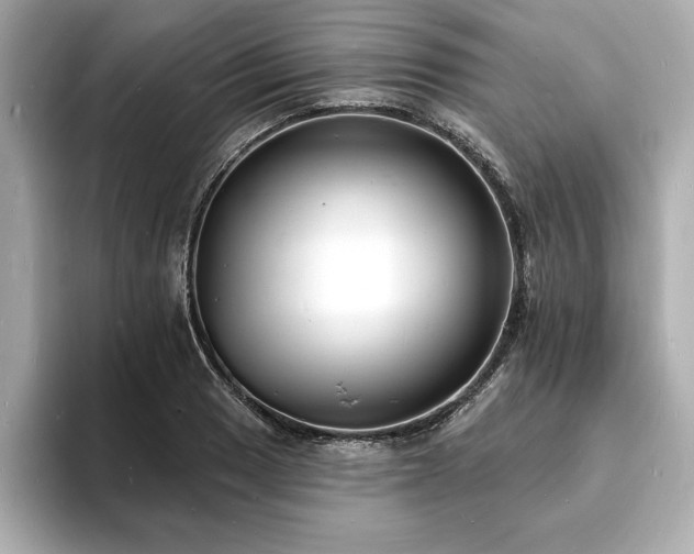 X0000093601033200710151217